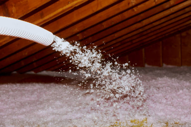 Best Insulation Maintenance and Repair in Sudley, VA